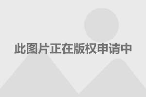 9月全球车市：中国稳居第一，美欧印销量齐跌